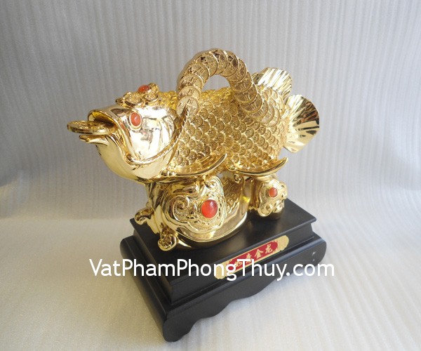 ca chep a196 1 Hong Kong feng shui gold dragon fish A196
